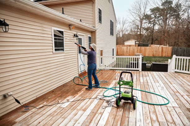 Best Affordable Power Washing  in Sauk Centre, MN