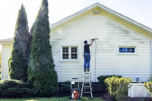 Best House Pressure Washing  in Sauk Centre, MN