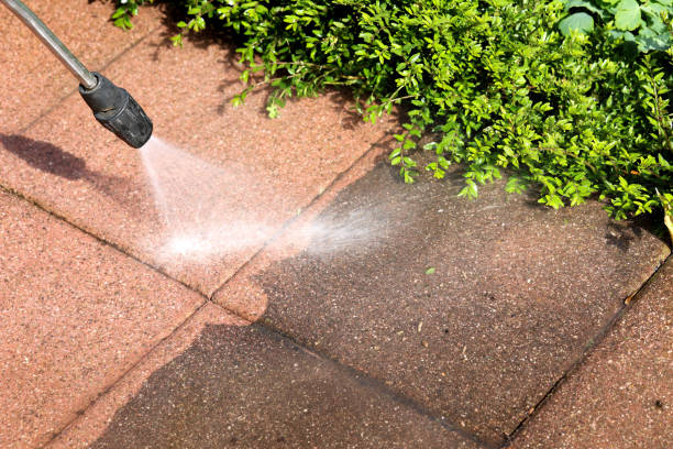 Best Concrete Pressure Washing  in Sauk Centre, MN